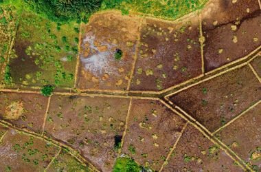 Silver Tag Engineering Services, Mangalore Offers Land Links (Real Estate Development) at Best Price